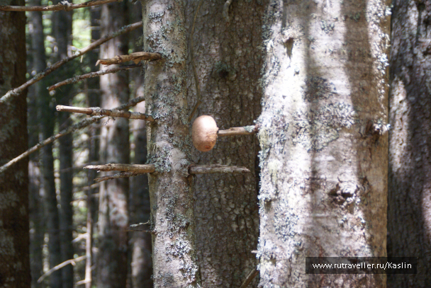 photo 1294256