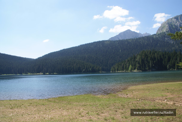 photo 1294258