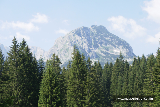 photo 1294264