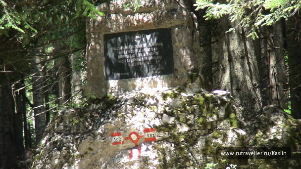 photo 1294274