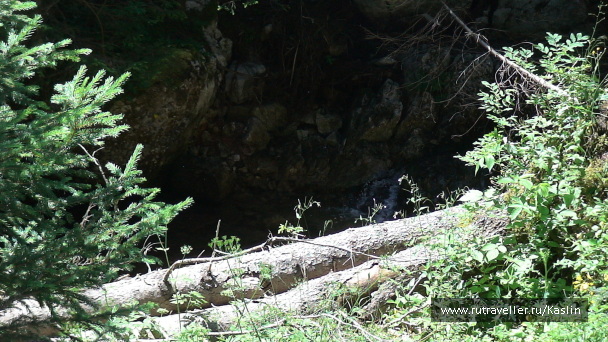 photo 1294276