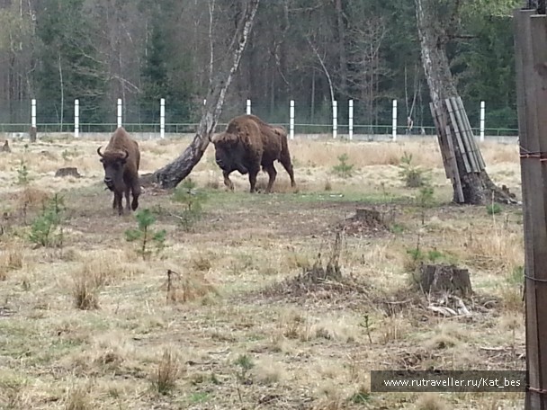photo 755708