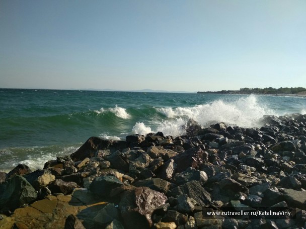 photo 1584155
