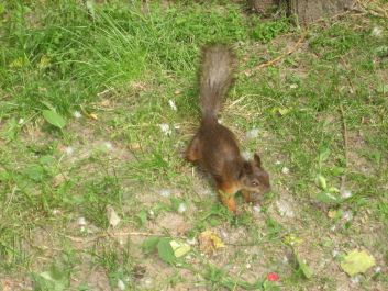 photo 563733