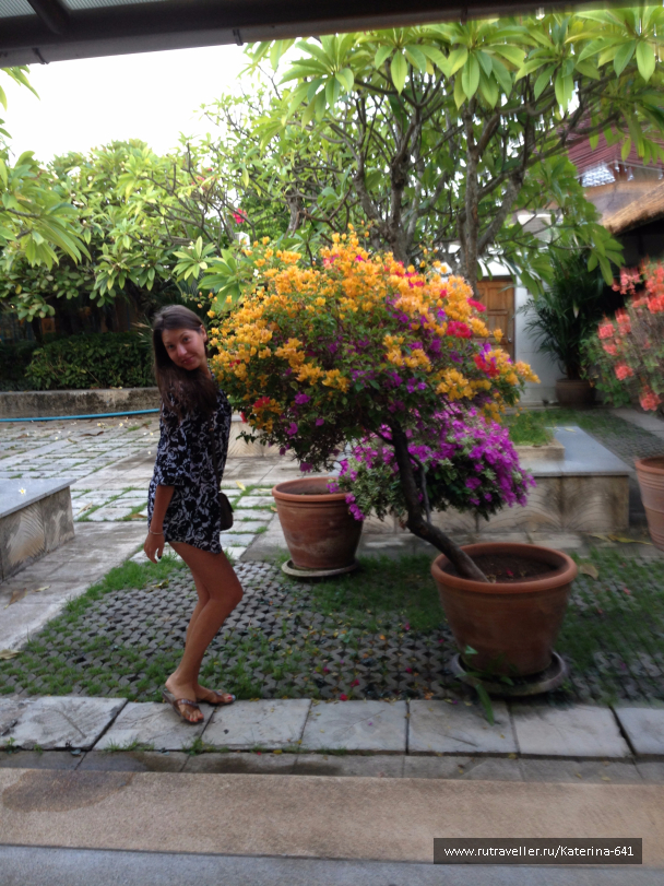 photo 1111487