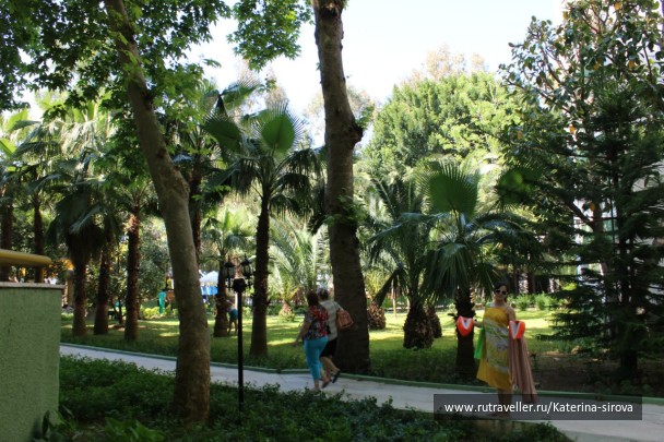 photo 572762