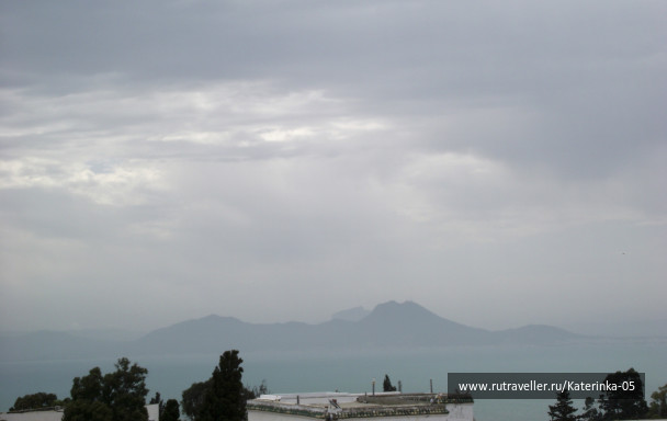 photo 170846