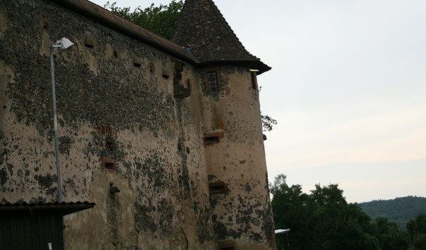 Juli 2010 284