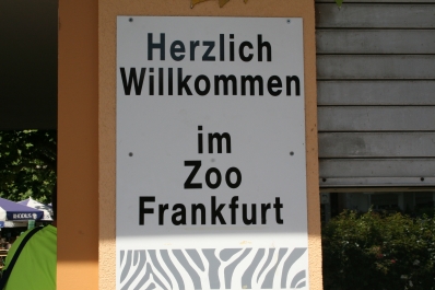 photo 285872