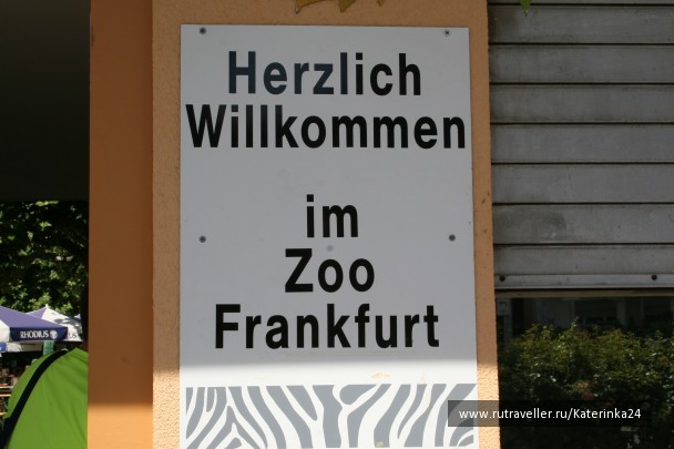 photo 285872