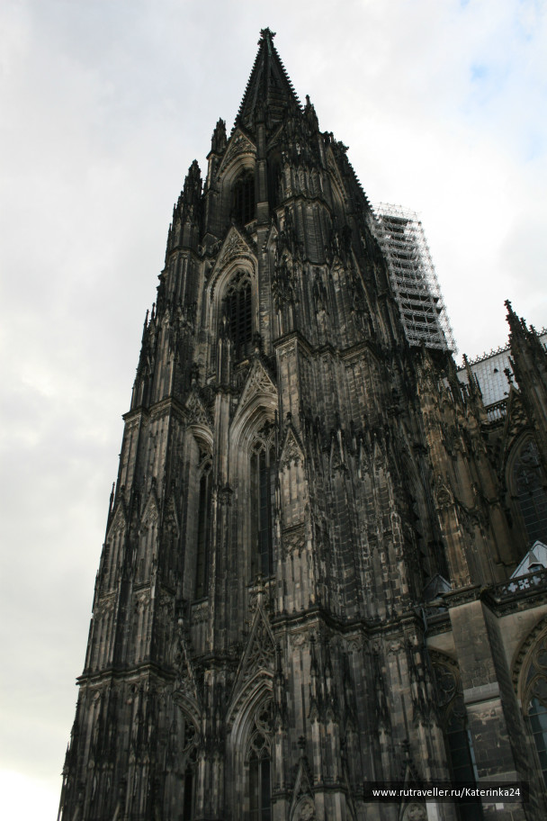 photo 285846