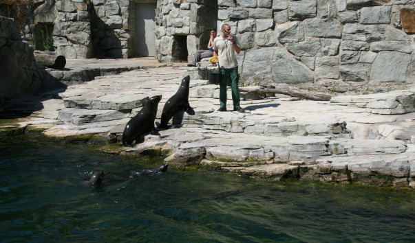 «Zoo Frankfurt»