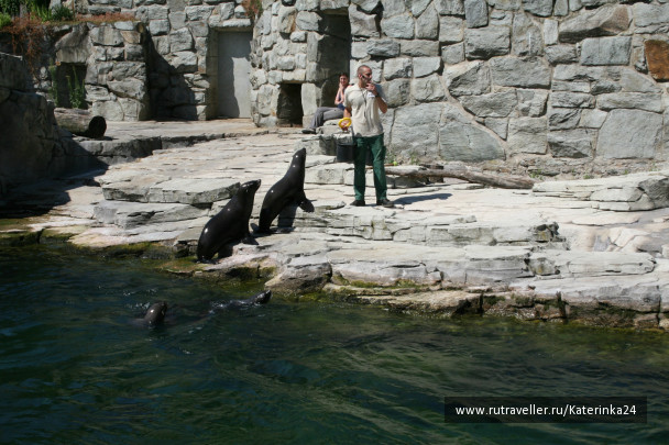 photo 285876