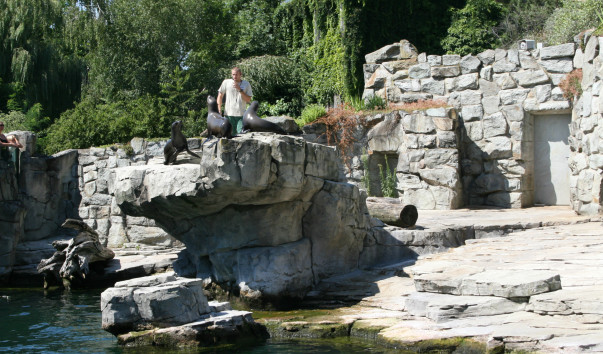 «Zoo Frankfurt»