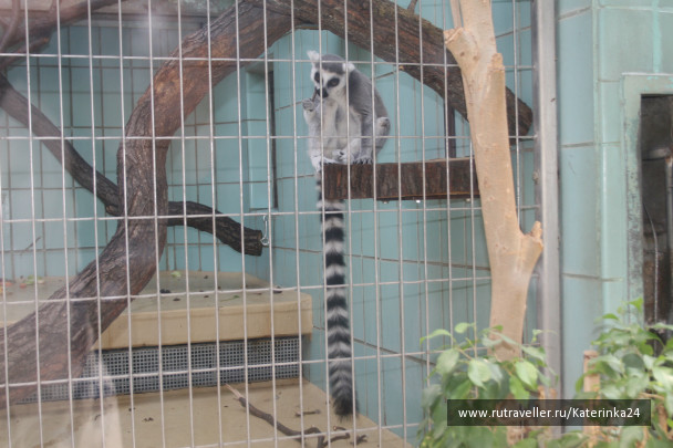 photo 285879