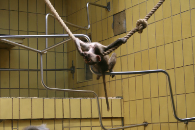 photo 285880