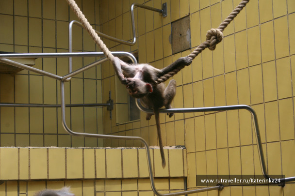 photo 285880