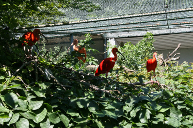 photo 285882