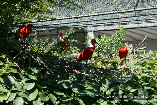 photo 285882