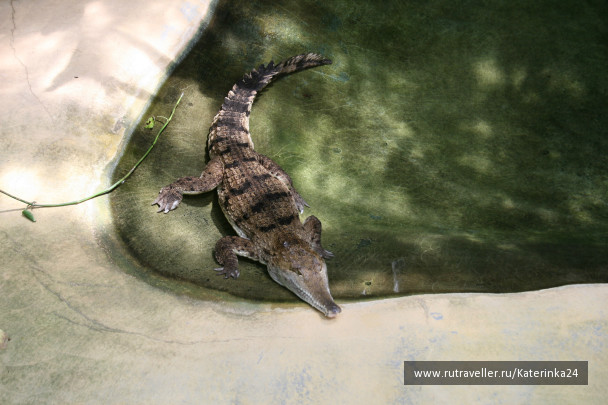 photo 285885