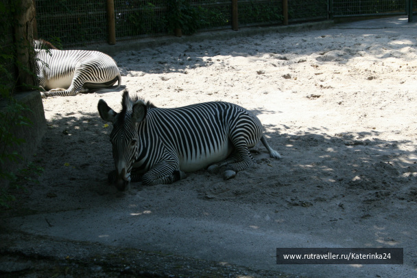 photo 285892