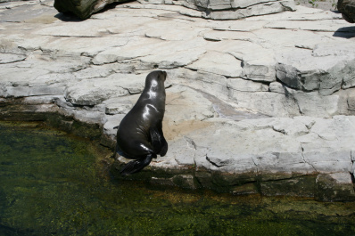 photo 285897