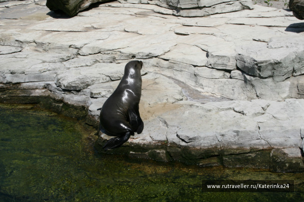 photo 285897