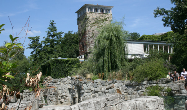 «Zoo Frankfurt»