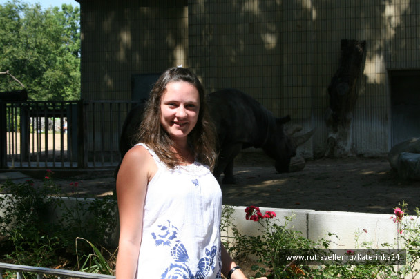 photo 285901