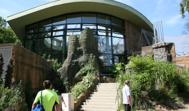 «Zoo Frankfurt»
