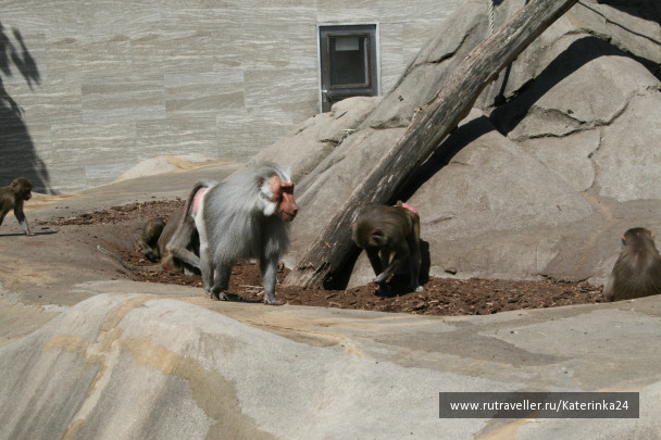 photo 285904