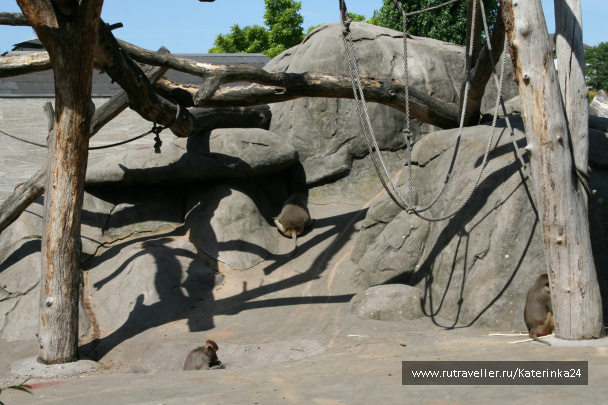 photo 285905