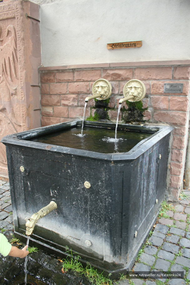 photo 289653