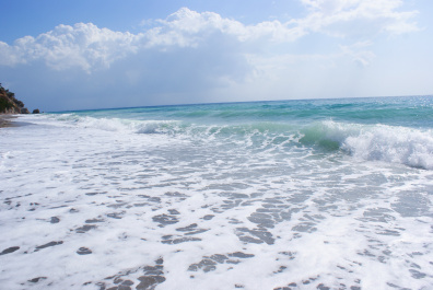 photo 483766
