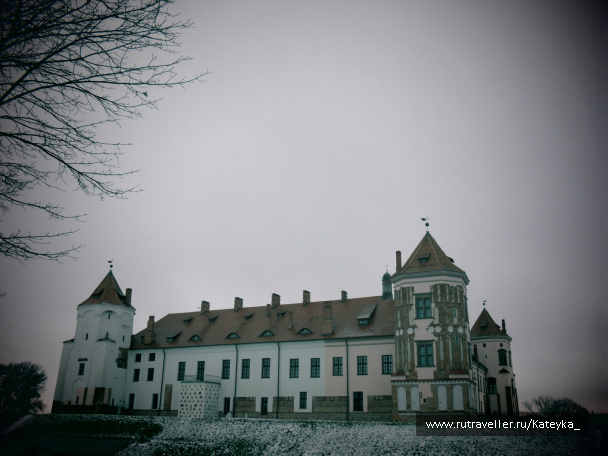 photo 546669
