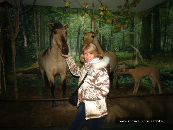 photo 546753