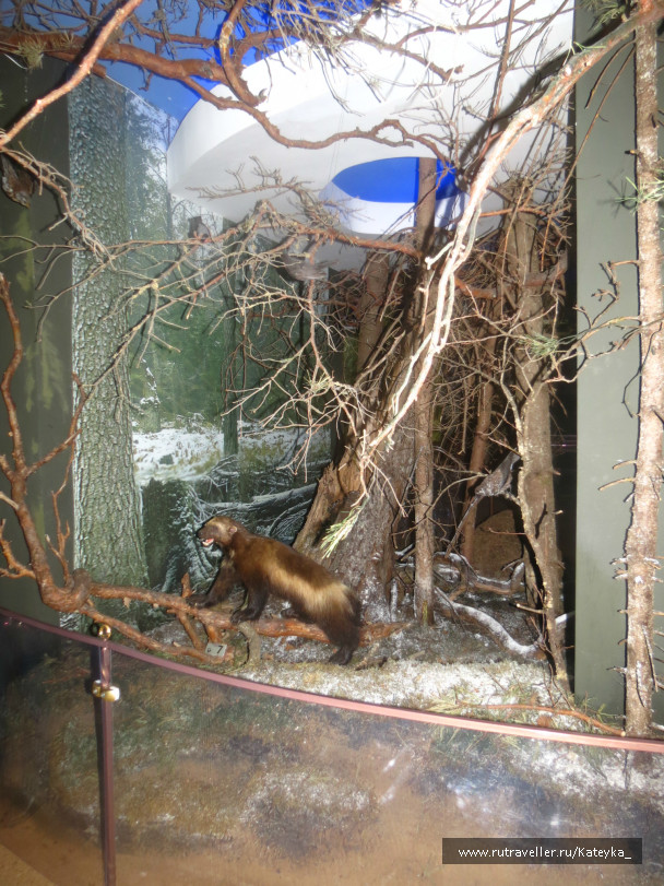 photo 546757