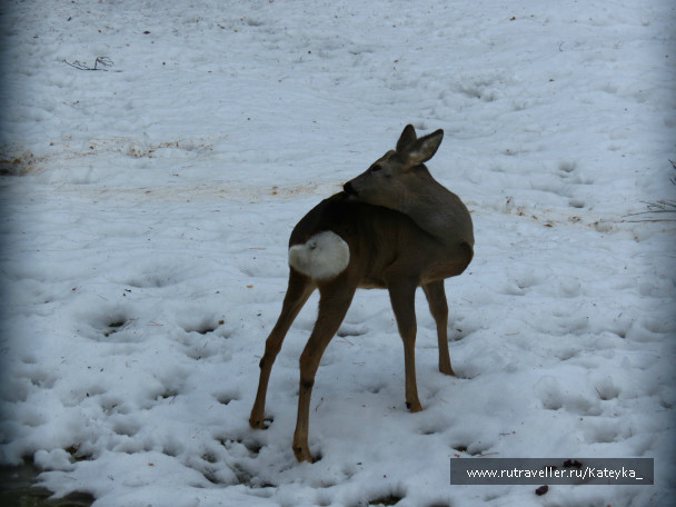 photo 546759