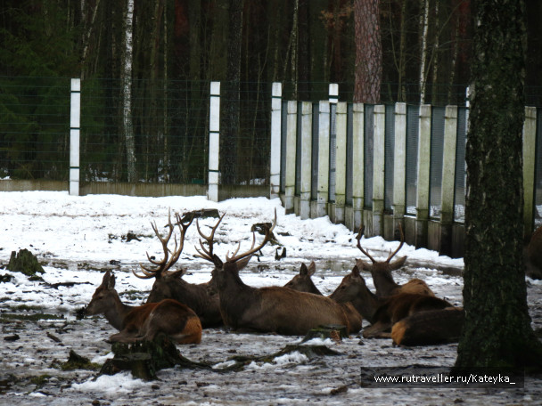 photo 546760
