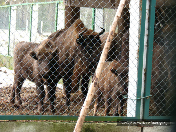 photo 546761