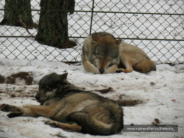 photo 546762