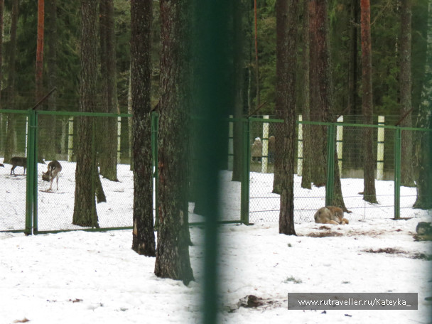 photo 546763