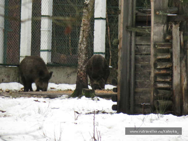 photo 546764
