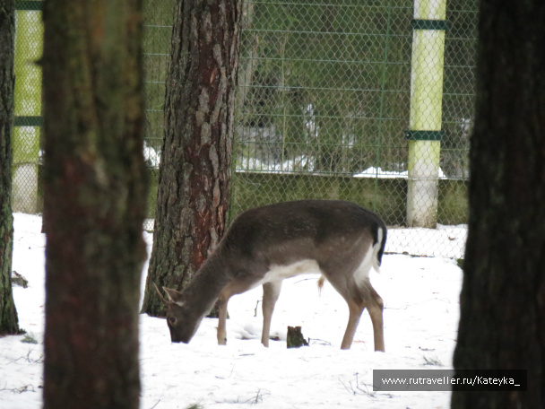 photo 546767