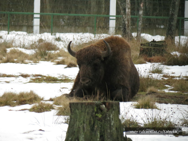 photo 546768