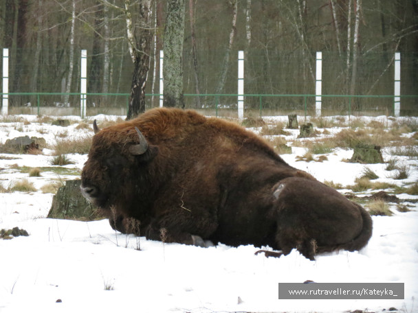 photo 546769