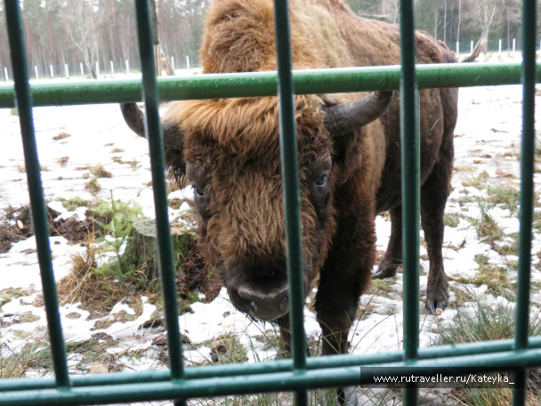 photo 546771