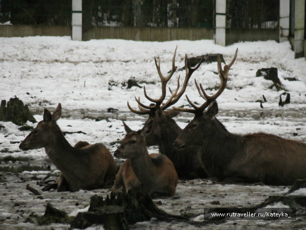 photo 546772