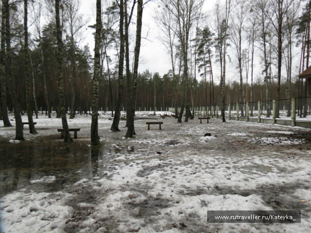 photo 546773