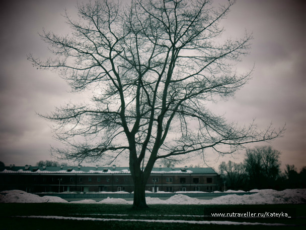 photo 546776